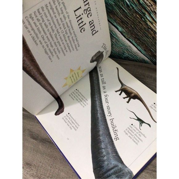 1996 Mighty Dinosaurs By Judith Simpson 🦕🦖 - Picture 7 of 12